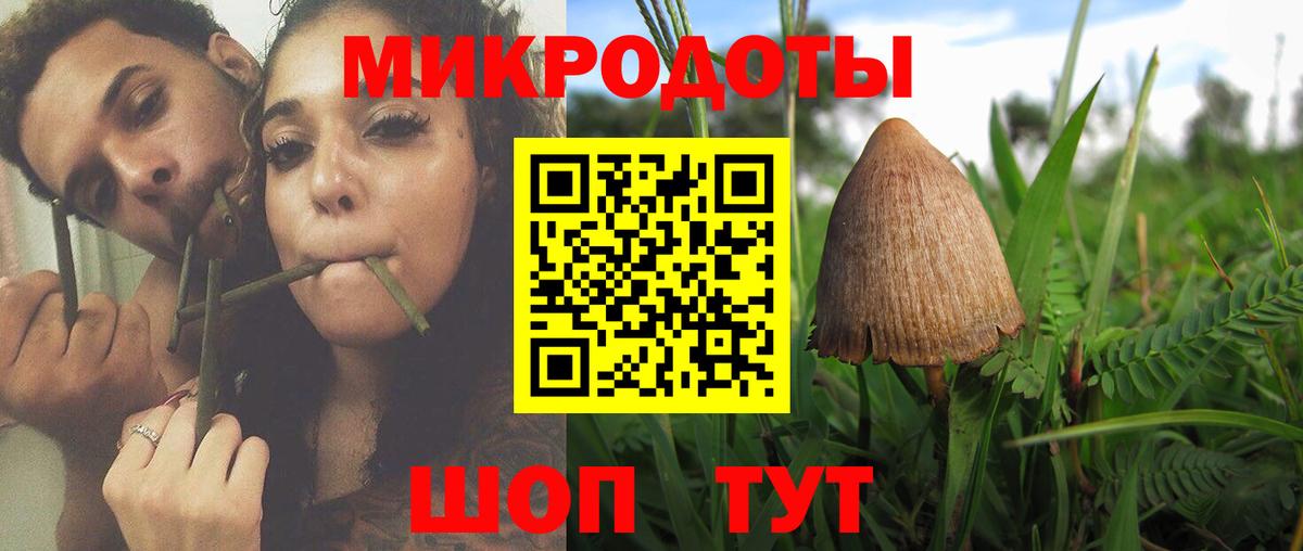 даркнет сайт  Вход с VPN  Новокузнецк  Галлюциногенные грибы прущие грибы  Псилоцибиновые грибы мицелий 